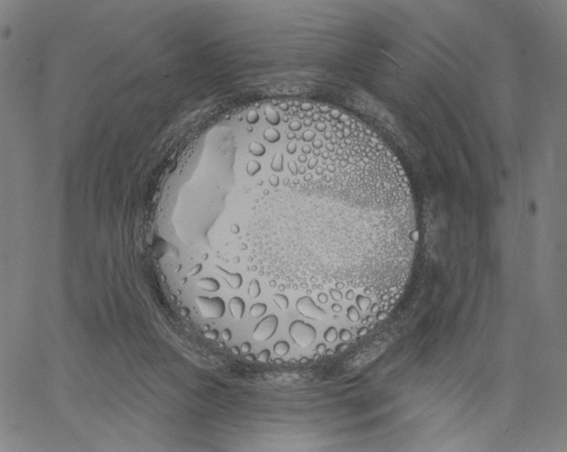 X0000061100161200512161357