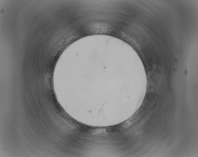 X0000061100162200512161357