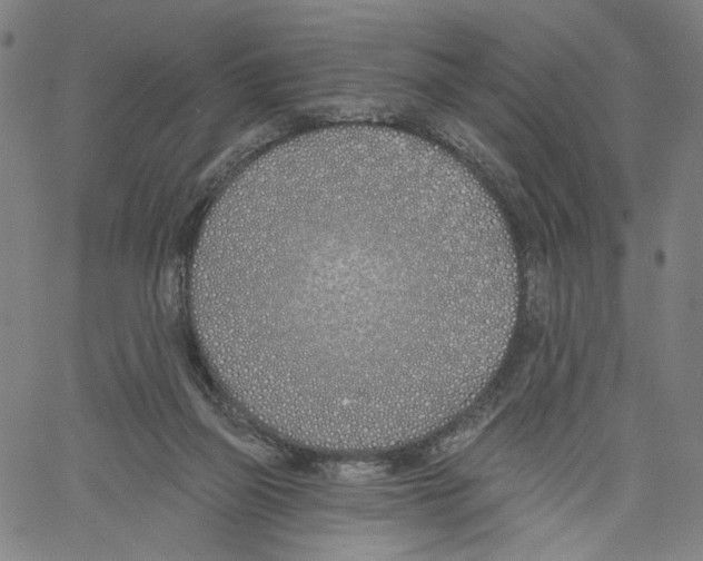 X0000061100165200512161357