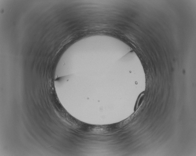 X0000061100171200512161357