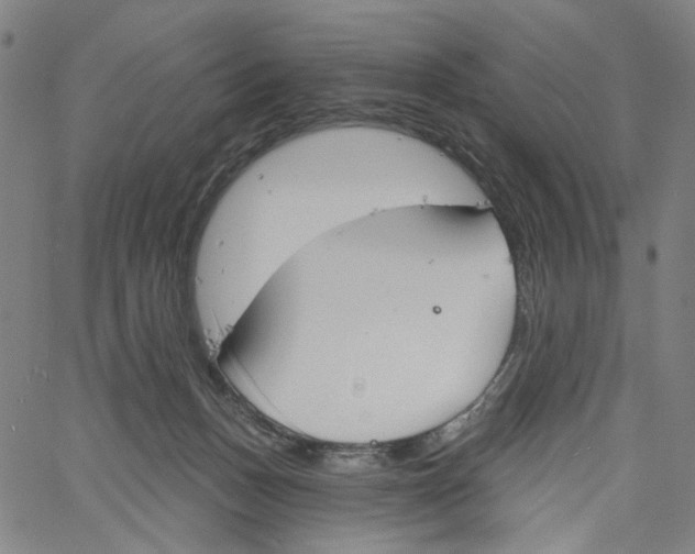 X0000061100175200512161357