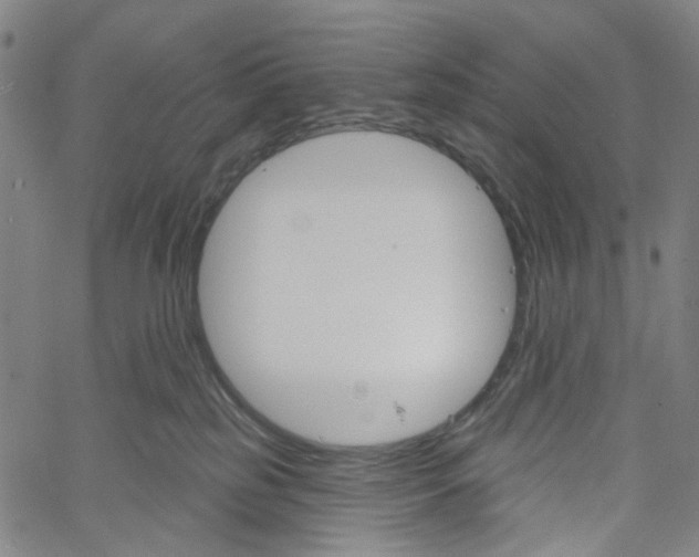 X0000061100185200512161357