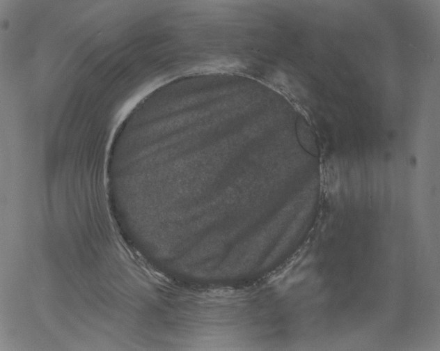 X0000061100196200512161357