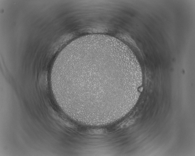 X0000061100202200512161356