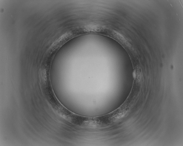 X0000061100211200512161356