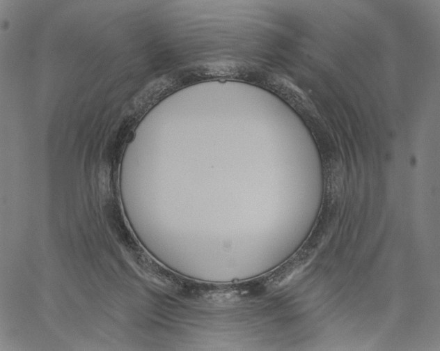 X0000061100213200512161356