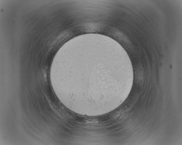X0000061100214200512161356