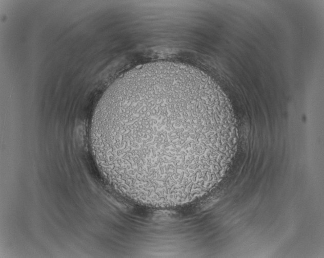 X0000061100222200512161356