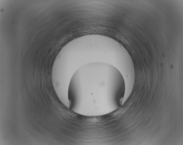 X0000061100237200512161356