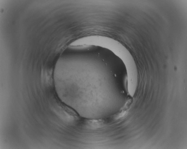 X0000061100239200512161356