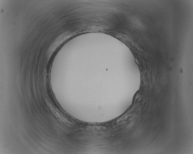 X0000061100242200512161355
