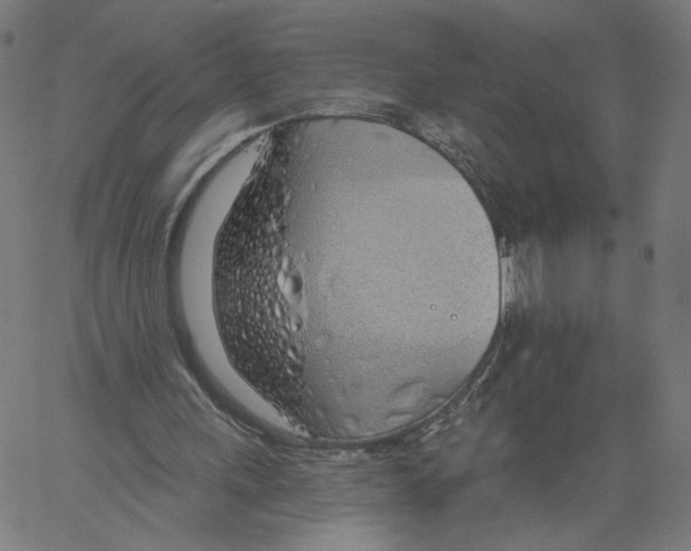 X0000061100243200512161355