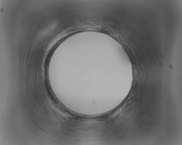 X0000061100246200512161355