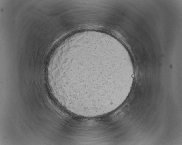 X0000061100249200512161355
