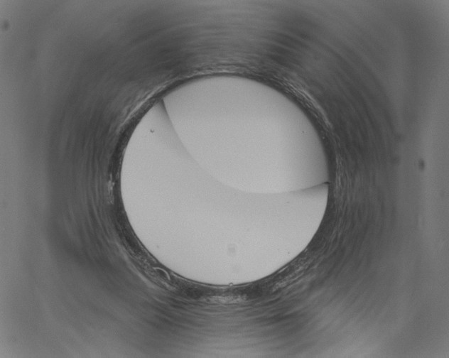 X0000061100251200512161355