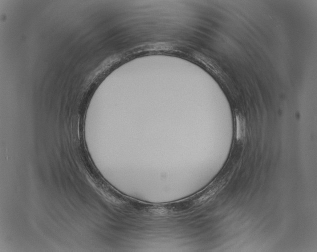 X0000061100253200512161355
