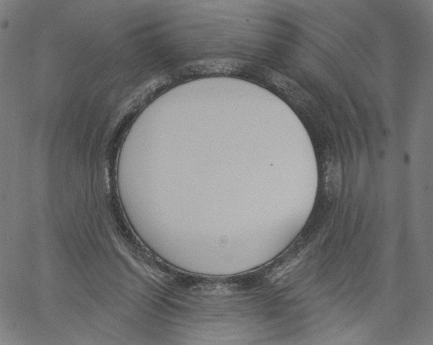 X0000061100254200512161355