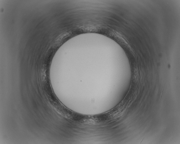 X0000061100259200512161355