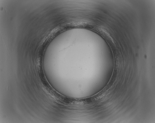 X0000061100260200512161355