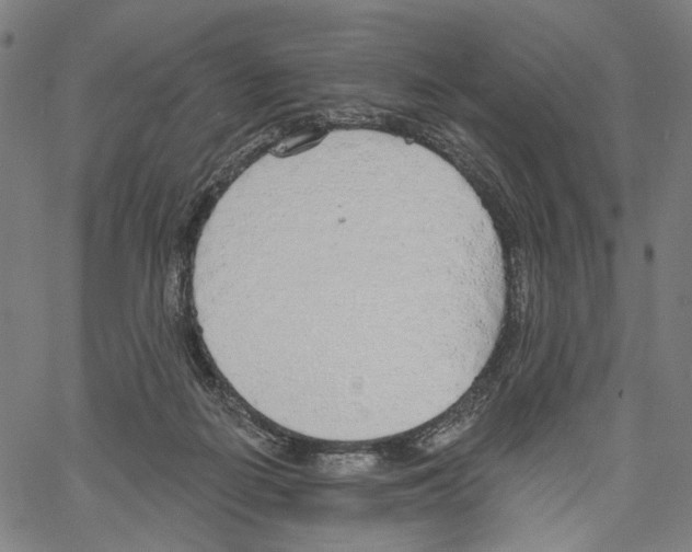 X0000061100266200512161355
