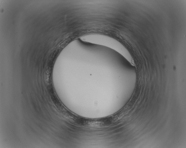 X0000061100268200512161355