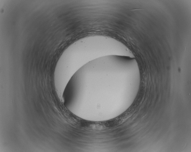 X0000061100272200512161356