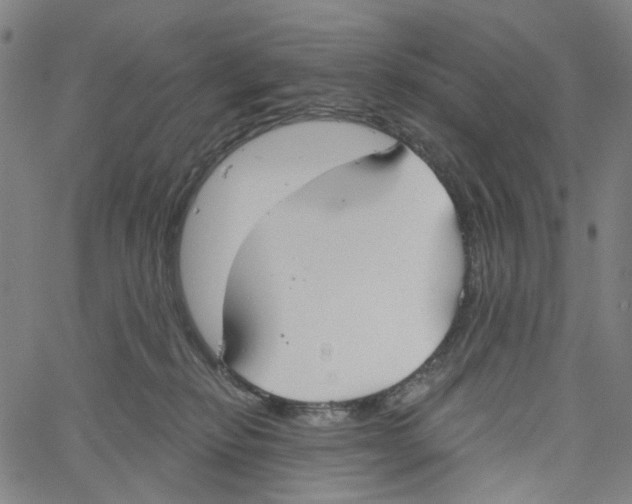 X0000061100278200512161356