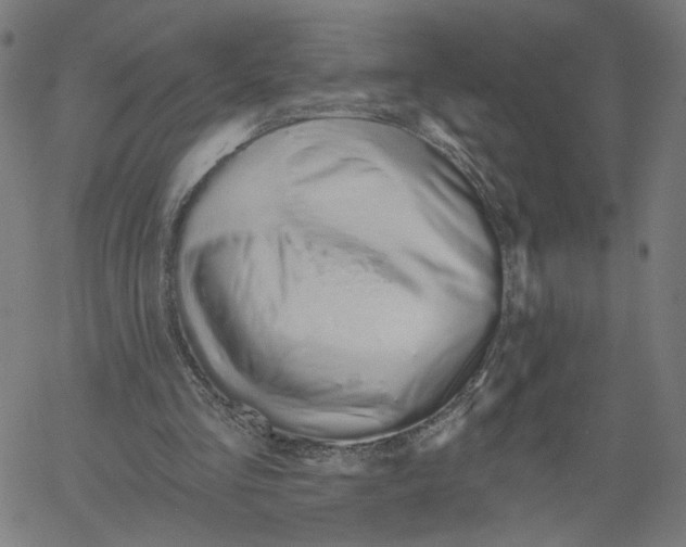 X0000061100293200512161355