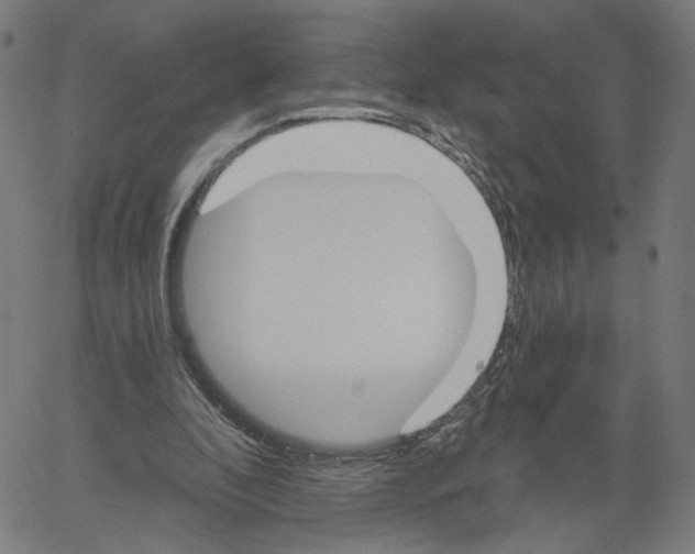 X0000061100296200512161355