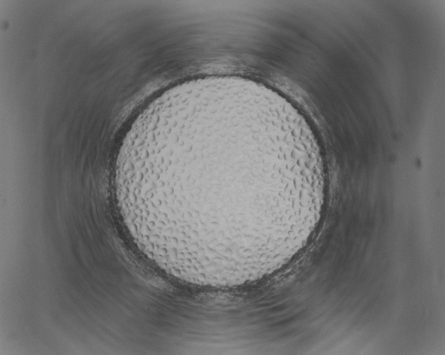 X0000061100297200512161355