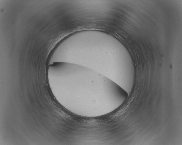 X0000061100301200512161355