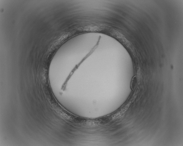X0000061100305200512161355