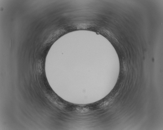 X0000061100311200512161355