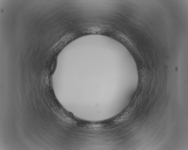 X0000061100313200512161355