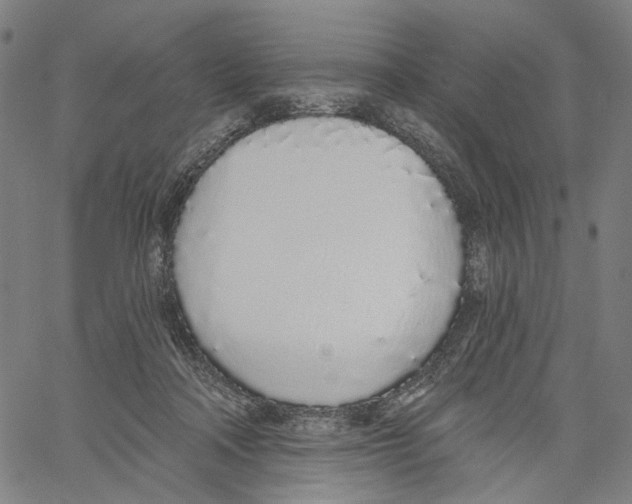 X0000061100314200512161355