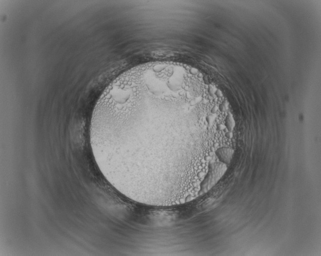 X0000061100319200512161354