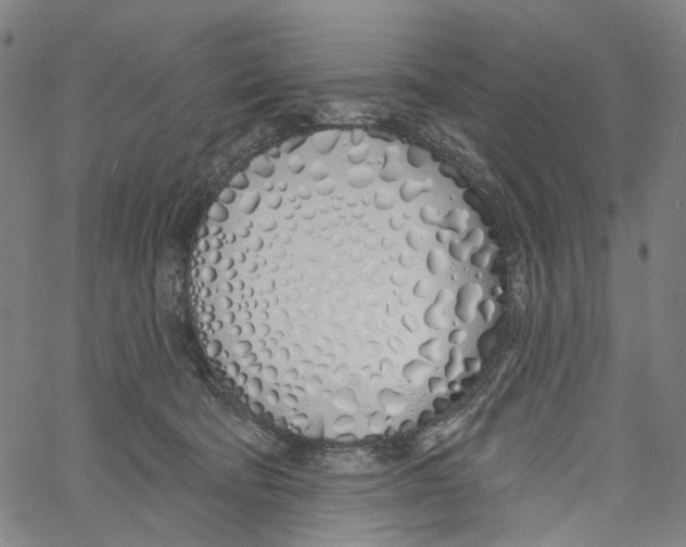 X0000061100322200512161354