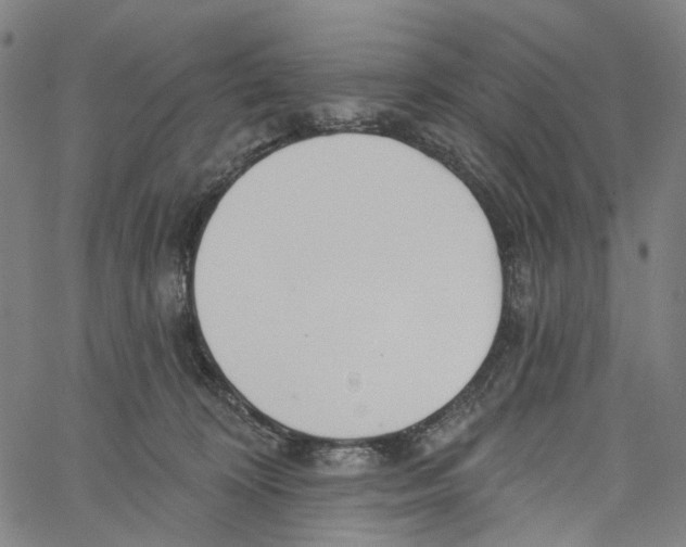 X0000061100324200512161354