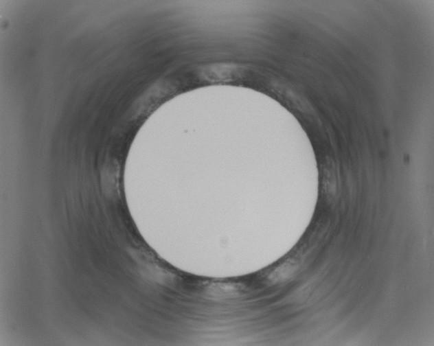 X0000061100332200512161354