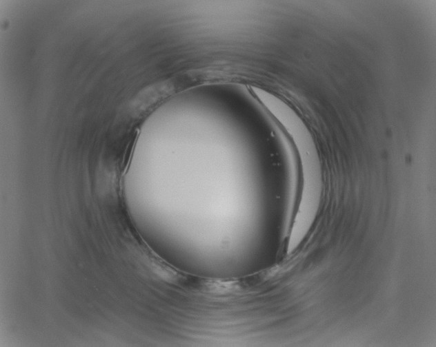 X0000061100333200512161354