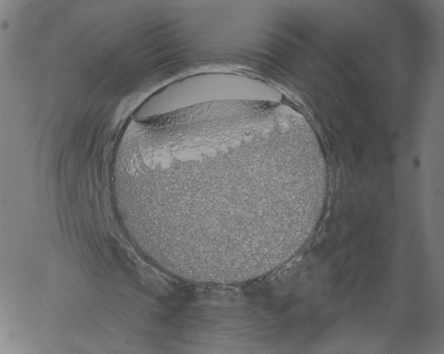 X0000061100337200512161353