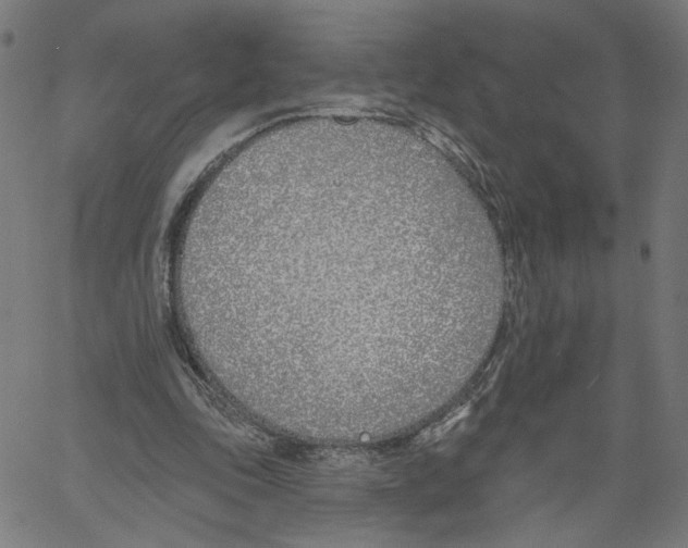X0000061100343200512161354
