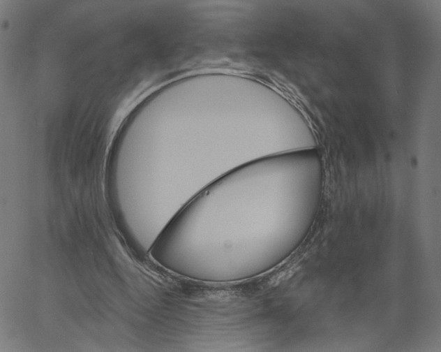 X0000061100344200512161354