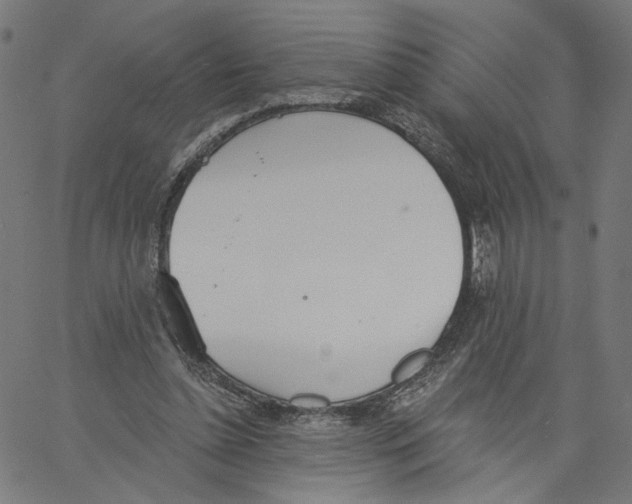 X0000061100348200512161354
