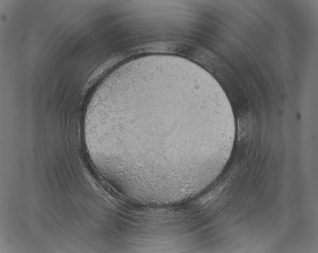 X0000061100349200512161354