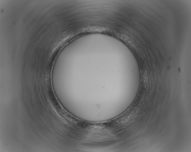 X0000061100352200512161354