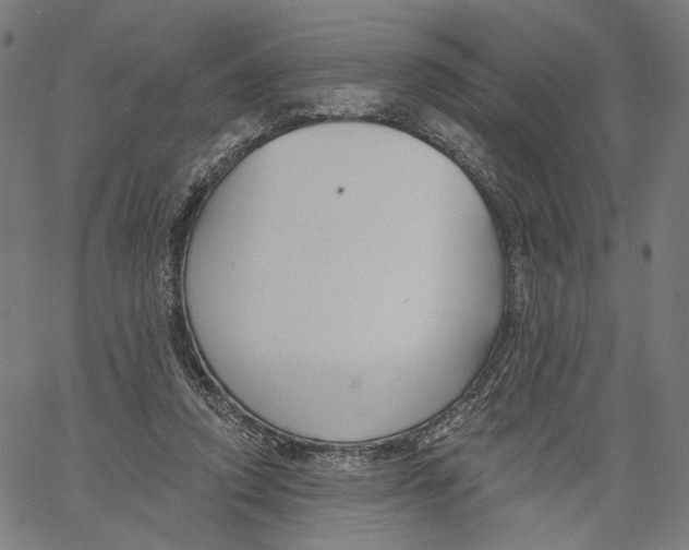 X0000061100354200512161354