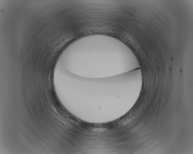 X0000061100360200512161354