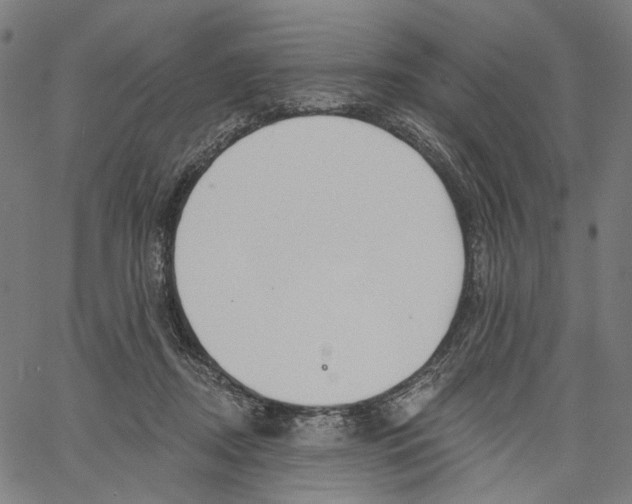 X0000061100362200512161354