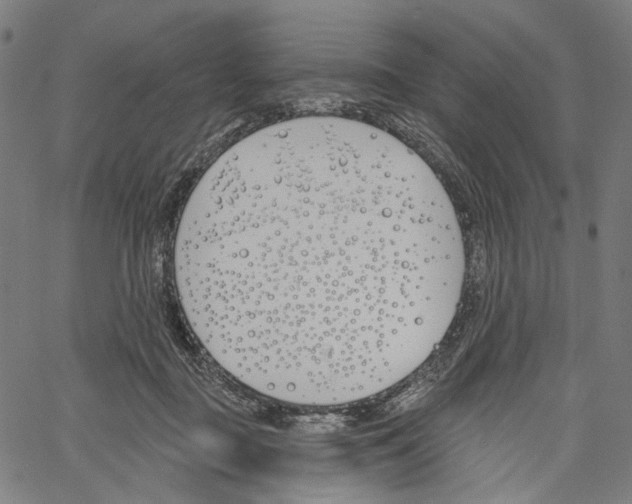 X0000061100363200512161354